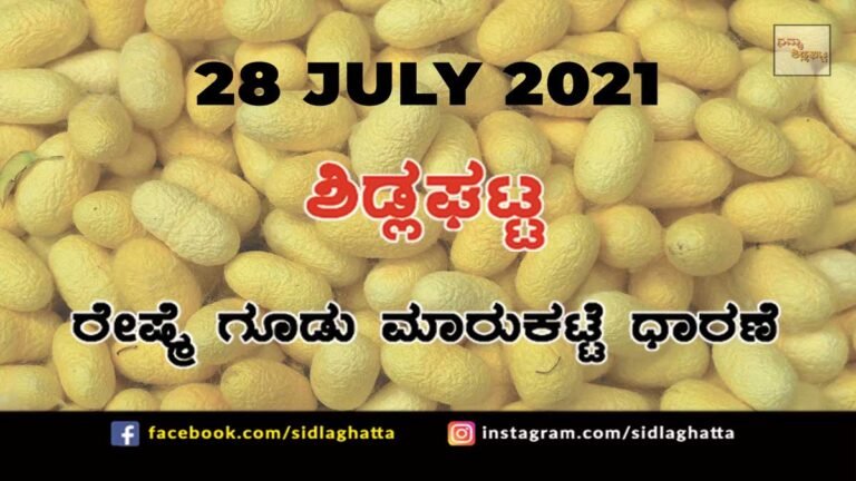Sidlaghatta silk Cocoon Market Daily Rate