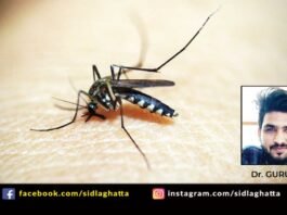 Sidlaghatta Monsoon Mosquito Malaria Dengue Brain Fever