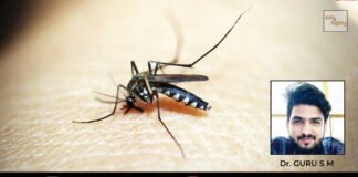 Sidlaghatta Monsoon Mosquito Malaria Dengue Brain Fever