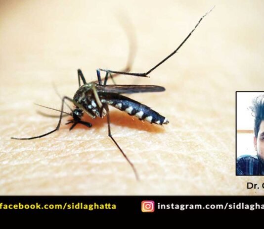 Sidlaghatta Monsoon Mosquito Malaria Dengue Brain Fever