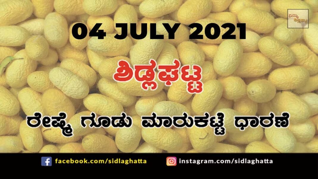Sidlaghatta silk Cocoon Market Daily Rate