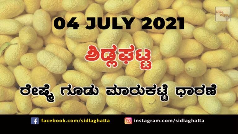 Sidlaghatta silk Cocoon Market Daily Rate