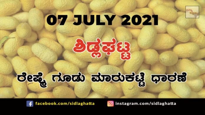 Sidlaghatta silk Cocoon Market Daily Rate