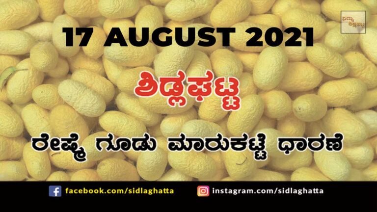 Sidlaghatta silk Cocoon Market Daily Rate