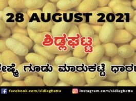 Sidlaghatta silk Cocoon Market Daily Rate