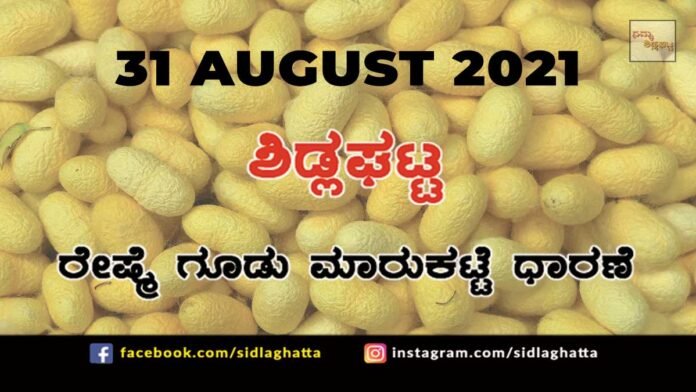 31aug2 Sidlaghatta silk Cocoon Market Daily Rate