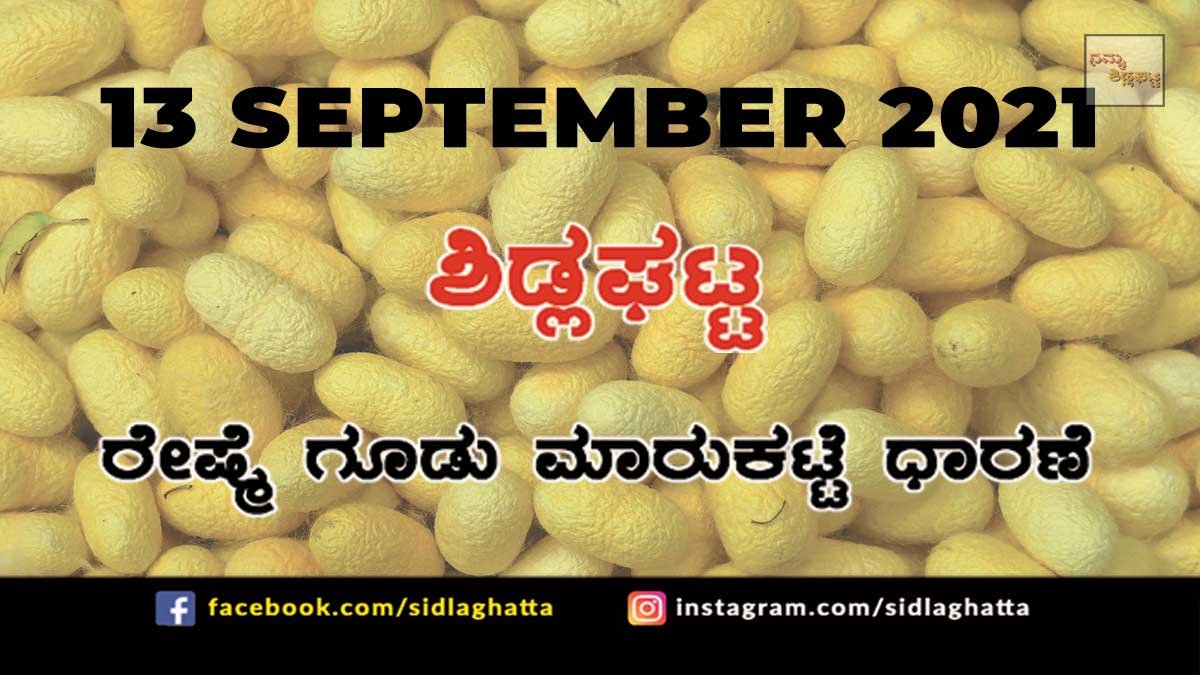13sepsd2 Chikkaballapur District Sidlaghatta silk Cocoon Market Daily Rate