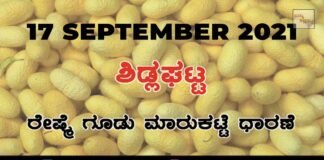 Chikkaballapur District Sidlaghatta silk Cocoon Market Daily Rate