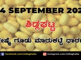 Chikkaballapur District Sidlaghatta silk Cocoon Market Daily Rate