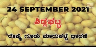 Chikkaballapur District Sidlaghatta silk Cocoon Market Daily Rate