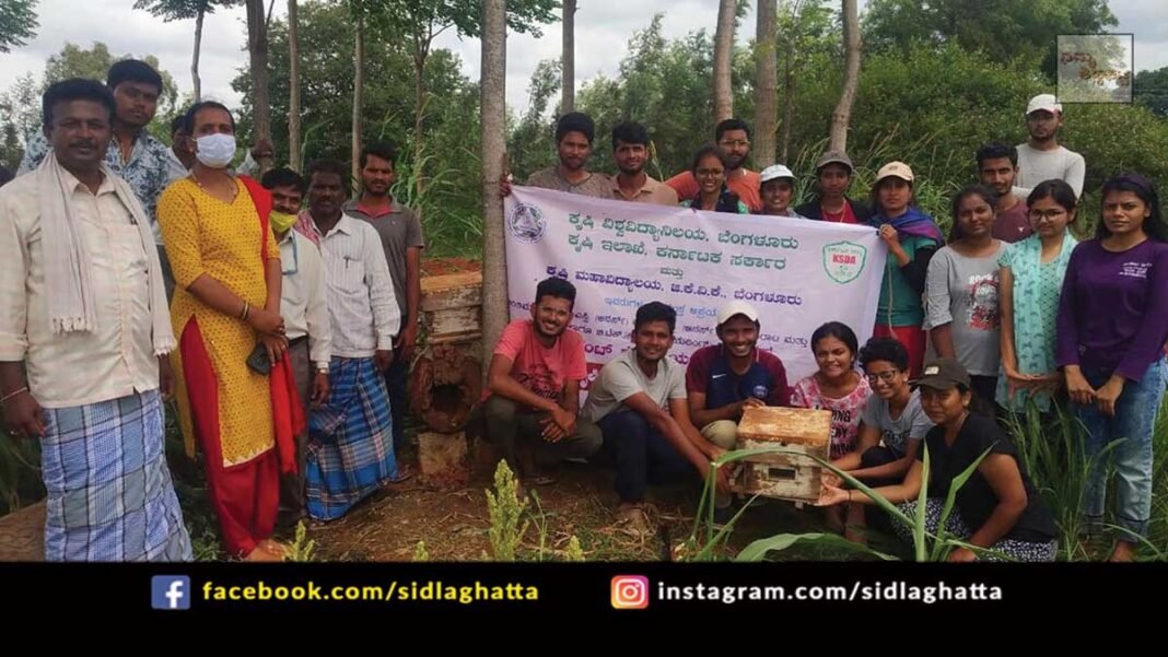 Bee Farming Lessons for GKVK Students at Appegowdanahalli