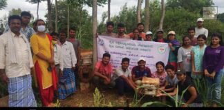 Bee Farming Lessons for GKVK Students at Appegowdanahalli