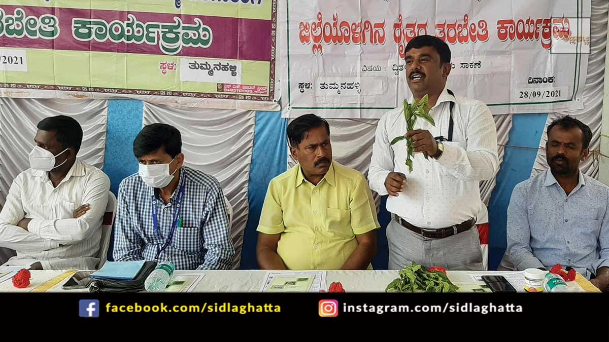 29sepsd3 Sidlaghatta Bivoltine Silk Cocoon Rearing Farming Training
