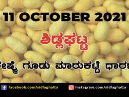Chikkaballapur District Sidlaghatta silk Cocoon Market Daily Rate
