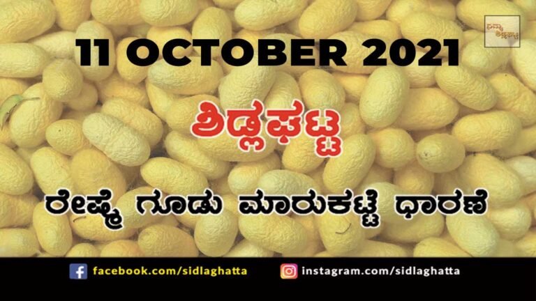 Chikkaballapur District Sidlaghatta silk Cocoon Market Daily Rate