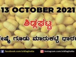 Chikkaballapur District Sidlaghatta silk Cocoon Market Daily Rate