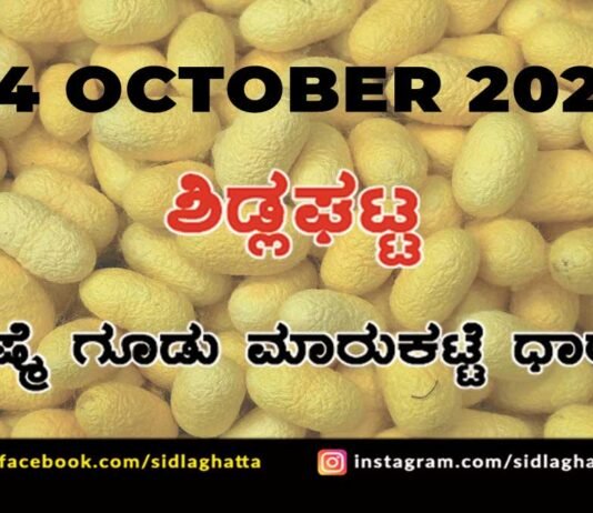 Chikkaballapur District Sidlaghatta silk Cocoon Market Daily Rate