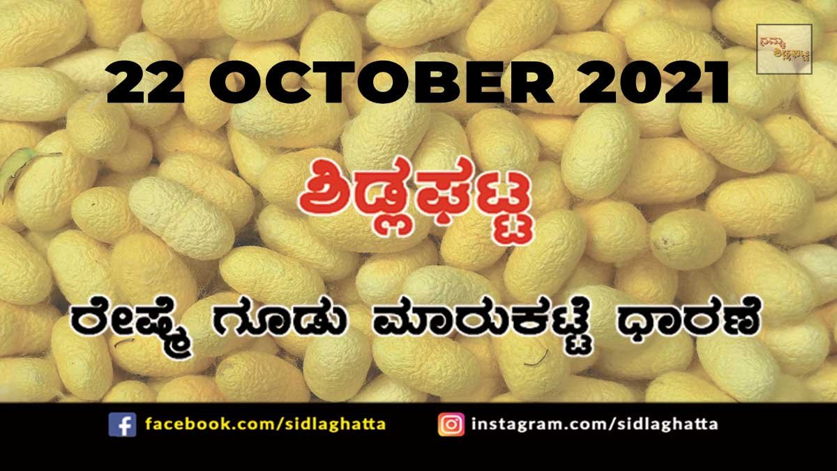 22oct4 Sidlaghatta Chikkaballapur District silk Cocoon Market Daily Rate