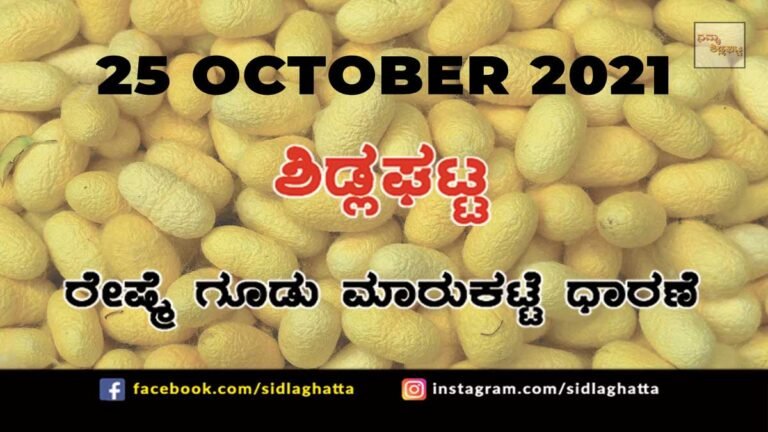 Sidlaghatta Chikkaballapur District silk Cocoon Market Daily Rate