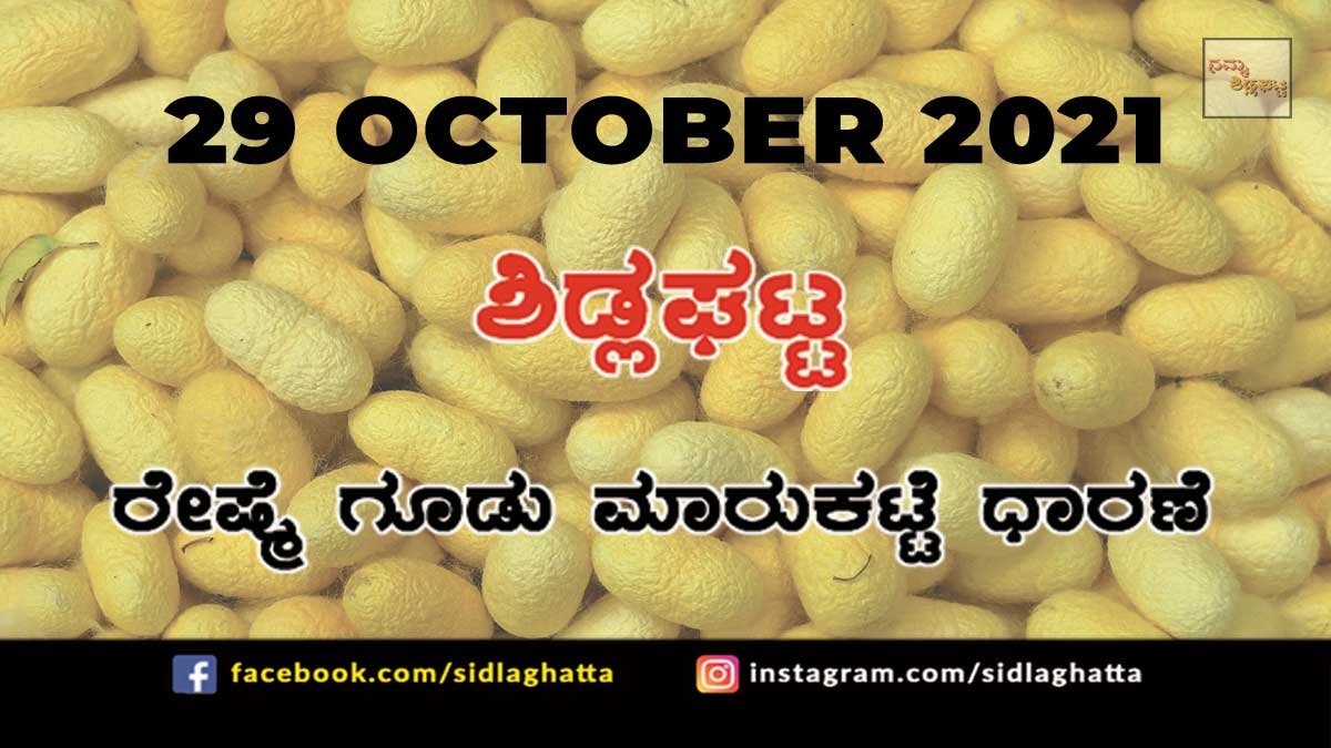 29oct3a Sidlaghatta Chikkaballapur District silk Cocoon Market Daily Rate