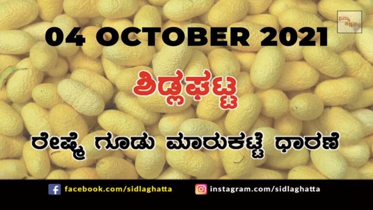 Chikkaballapur District Sidlaghatta silk Cocoon Market Daily Rate