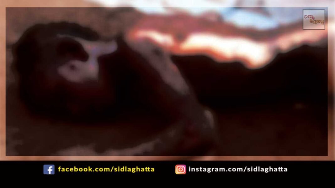 stray dogs kill boy sidlaghatta