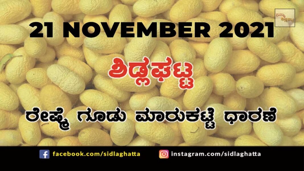 21nov2a Sidlaghatta silk Cocoon Market Daily Rate