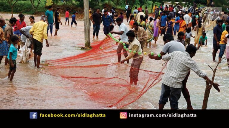 Sidlaghatta Belluti Lake Rain Water People Celebrate Fishing