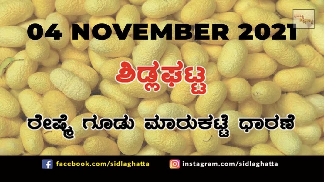 Sidlaghatta Chikkaballapur District silk Cocoon Market Daily Rate