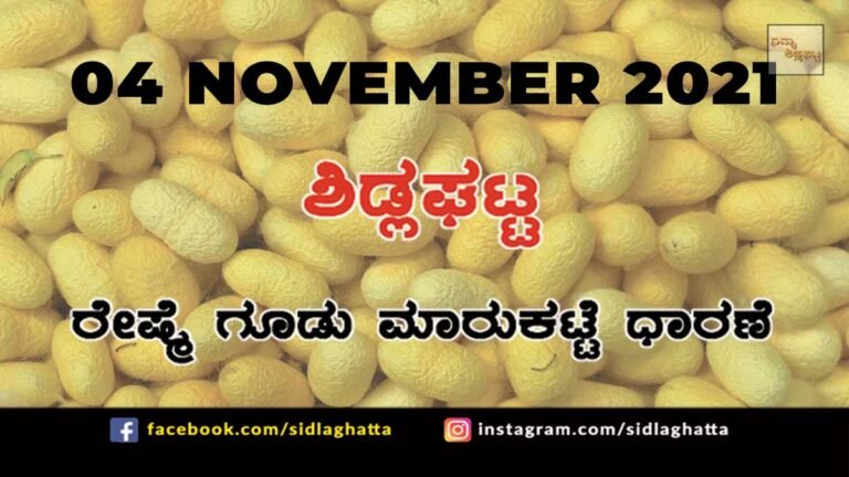 Sidlaghatta Chikkaballapur District silk Cocoon Market Daily Rate