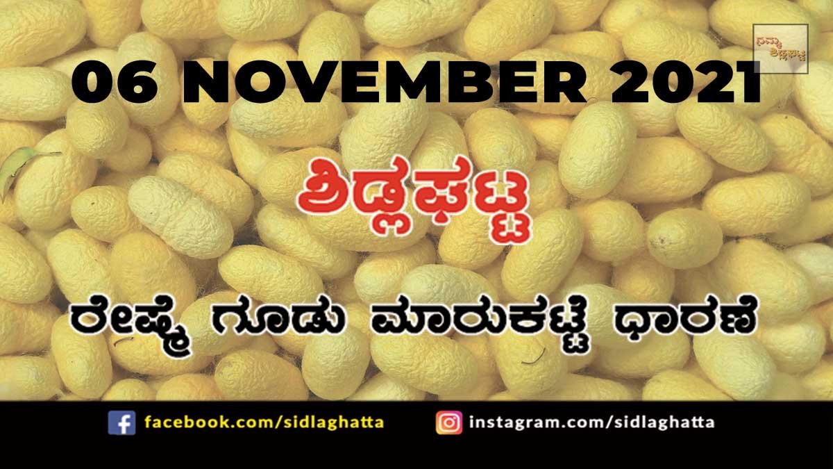 6nov1a Sidlaghatta Chikkaballapur District silk Cocoon Market Daily Rate