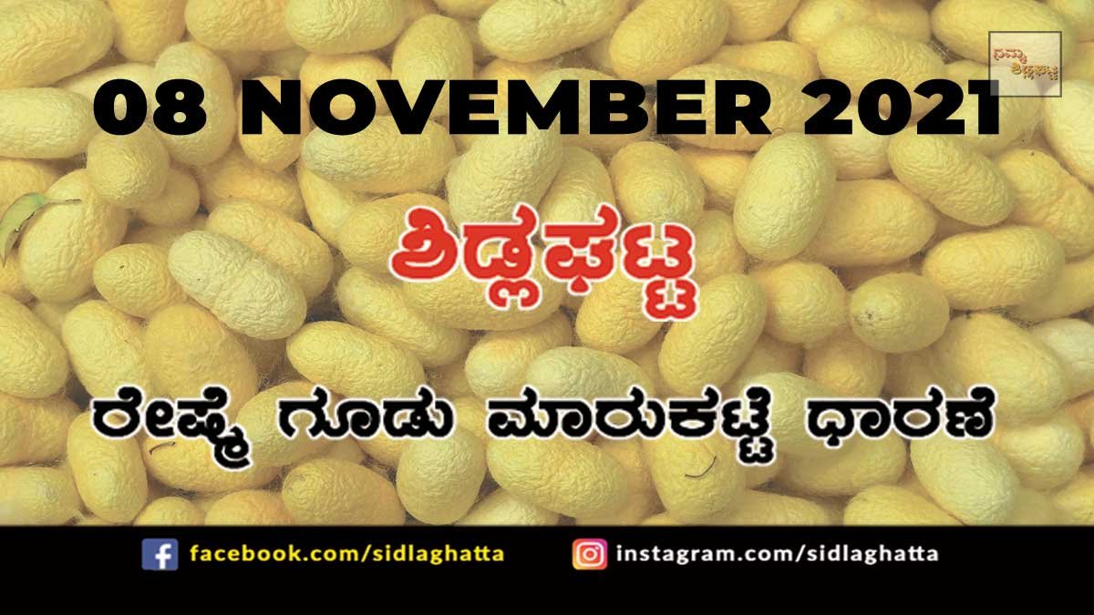 8nov3a Sidlaghatta Chikkaballapur District silk Cocoon Market Daily Rate