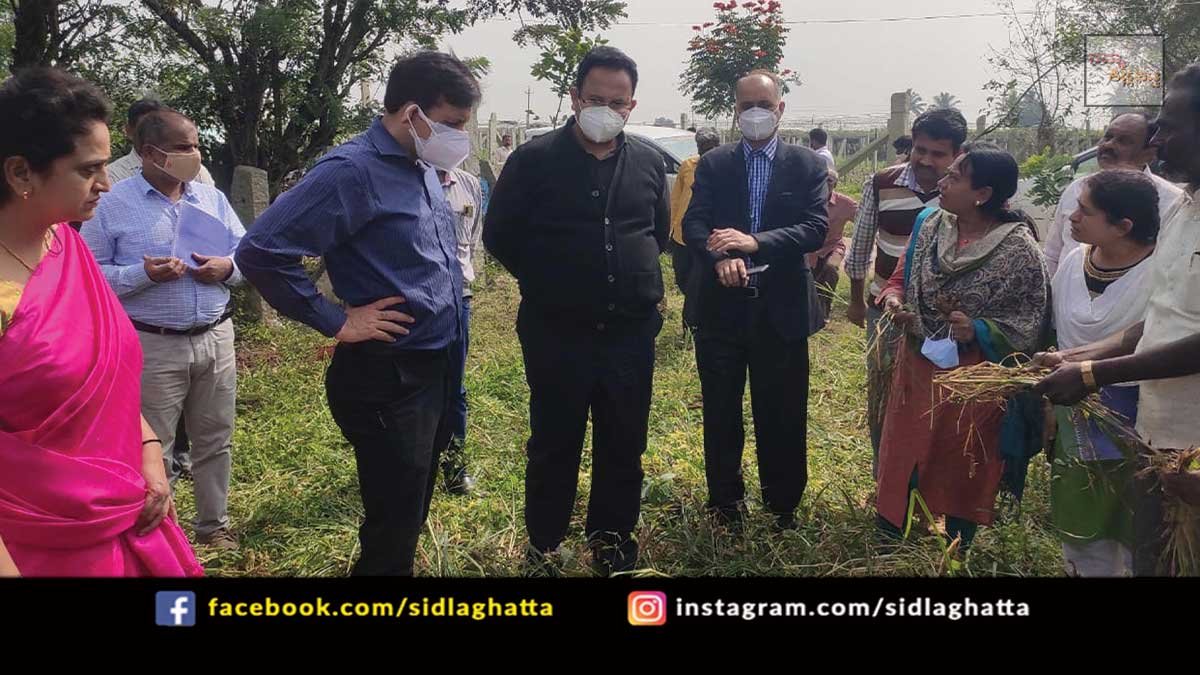 Centre Government Team Visit Rain Affected Sidlaghatta Areas with Chikkaballapur District commissioner R Latha