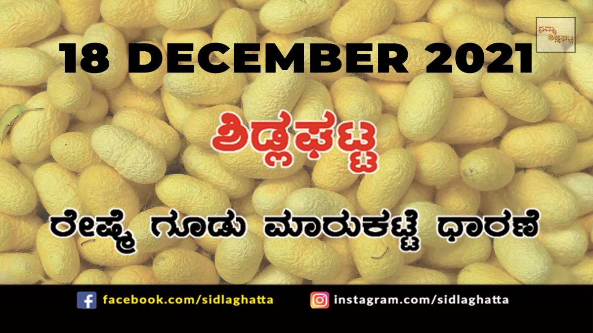 18dec21sc4 Sidlaghatta silk Cocoon Market Daily Rate