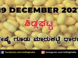 Sidlaghatta silk Cocoon Market Rate Today