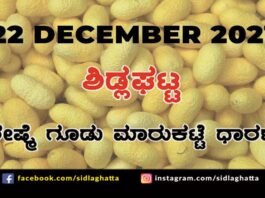 Sidlaghatta silk Cocoon Market Rate Today