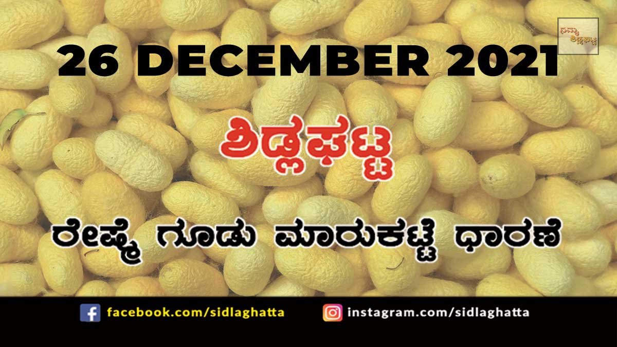 26Dec8 Sidlaghatta silk Cocoon Market Rate Today