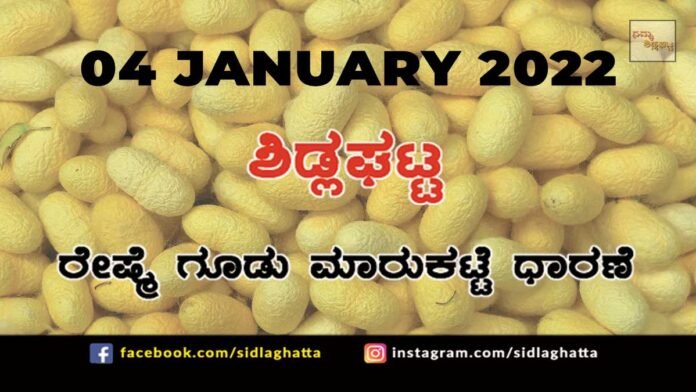 04janCb2 Sidlaghatta silk Cocoon Market Rate Today