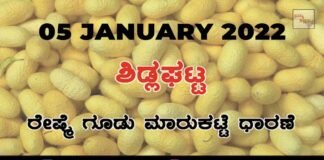 Sidlaghatta silk Cocoon Market Rate Today