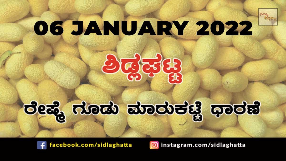 06JanCb04 Sidlaghatta silk Cocoon Market Rate Today