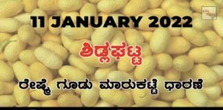 Sidlaghatta silk Cocoon Market Rate Today