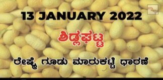 Sidlaghatta silk Cocoon Market Rate Today