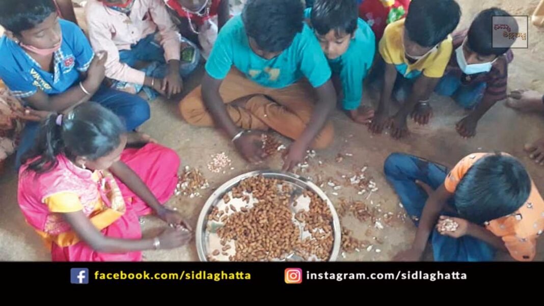 Sidlaghatta Kachahalli School children Sankranti Celebration