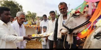 Kothanur Sidlaghatta Makara Sankranti Celebration