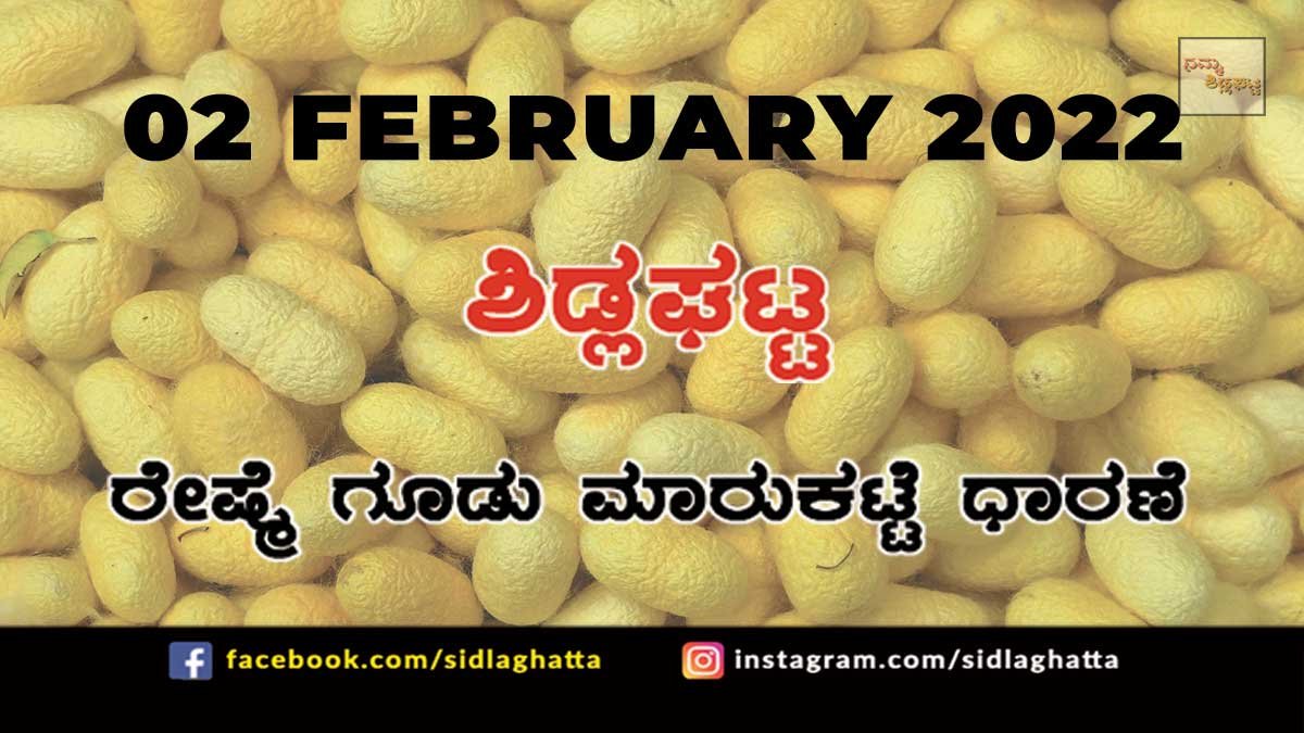 02FebCb09 Sidlaghatta silk Cocoon Market Rate Today