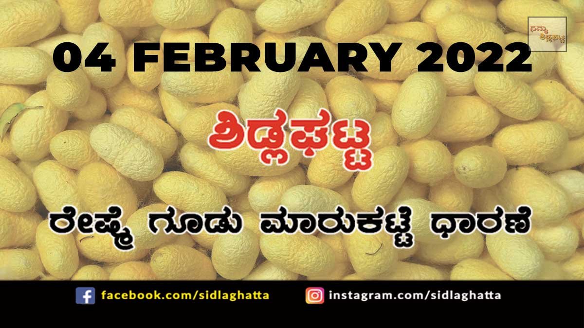 04FebCb02a Sidlaghatta silk Cocoon Market Rate Today