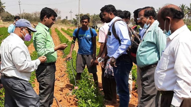 Sidlaghatta Mulberry Silk crop Pest Control Measures
