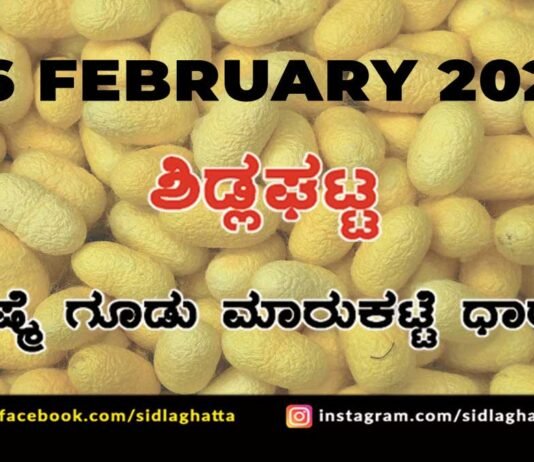 Sidlaghatta silk Cocoon Market Rate Today