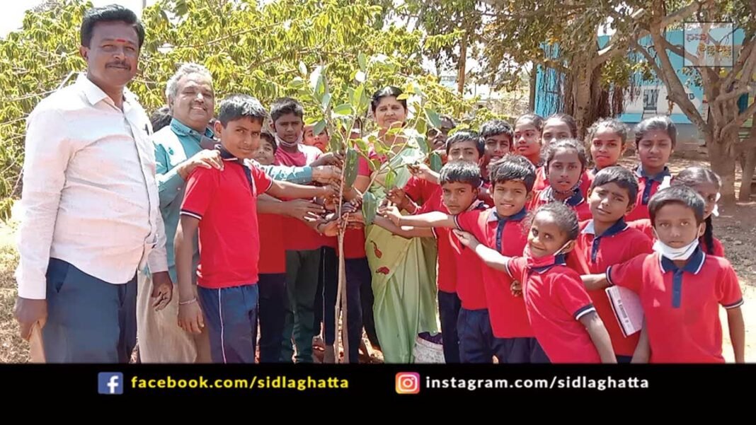 Appegowdanahalli Government School Tree Planting