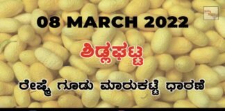 Sidlaghatta silk Cocoon Market Rate Today